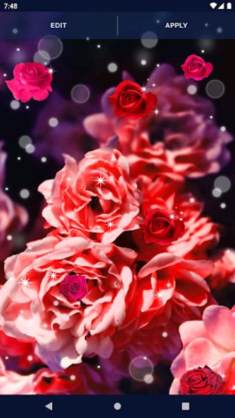 Red Rose Live Wallpaper Screenshot3