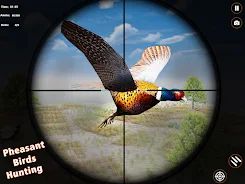 Pheasant Birds Hunting Games Screenshot12