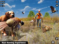 Pheasant Birds Hunting Games Screenshot6