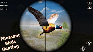 Pheasant Birds Hunting Games Screenshot4