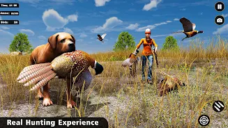 Pheasant Birds Hunting Games Screenshot2