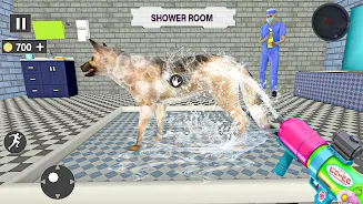 Animal Shelter: Pet Rescue 3D Screenshot1