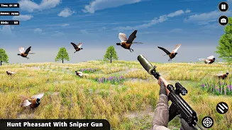 Pheasant Birds Hunting Games Screenshot3