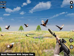 Pheasant Birds Hunting Games Screenshot7