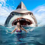 Hungry Shark Attack Shark Game APK