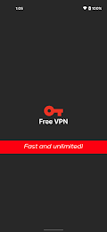 Free VPN Screenshot1