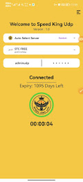 Speed King Udp - Fast Safe VPN Screenshot1