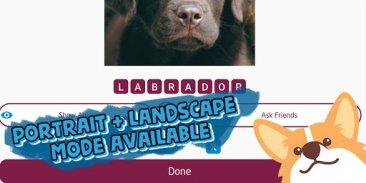 dog breed quiz Screenshot2