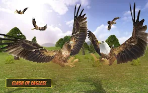 Eagle Simulators 3D Bird Game Screenshot5