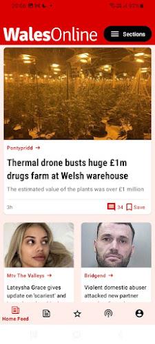 Wales Online Screenshot1