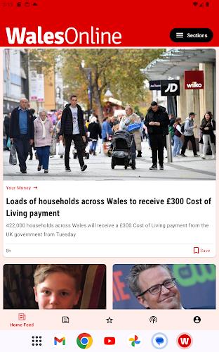 Wales Online Screenshot6