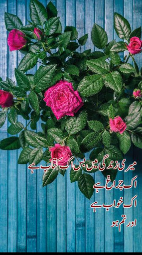 Urdu On Picture - Write Urdu Text on Photo Screenshot5