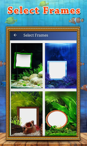 Photo Aquarium Live Wallpaper Screenshot2