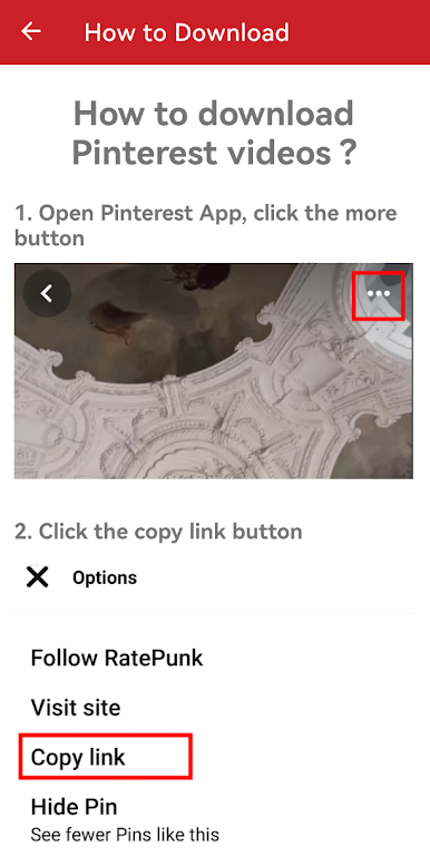 Video Downloader for Pinterest Screenshot1