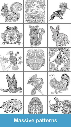 2020 for Animals Coloring Books Screenshot4