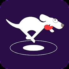 DOG VPN APK