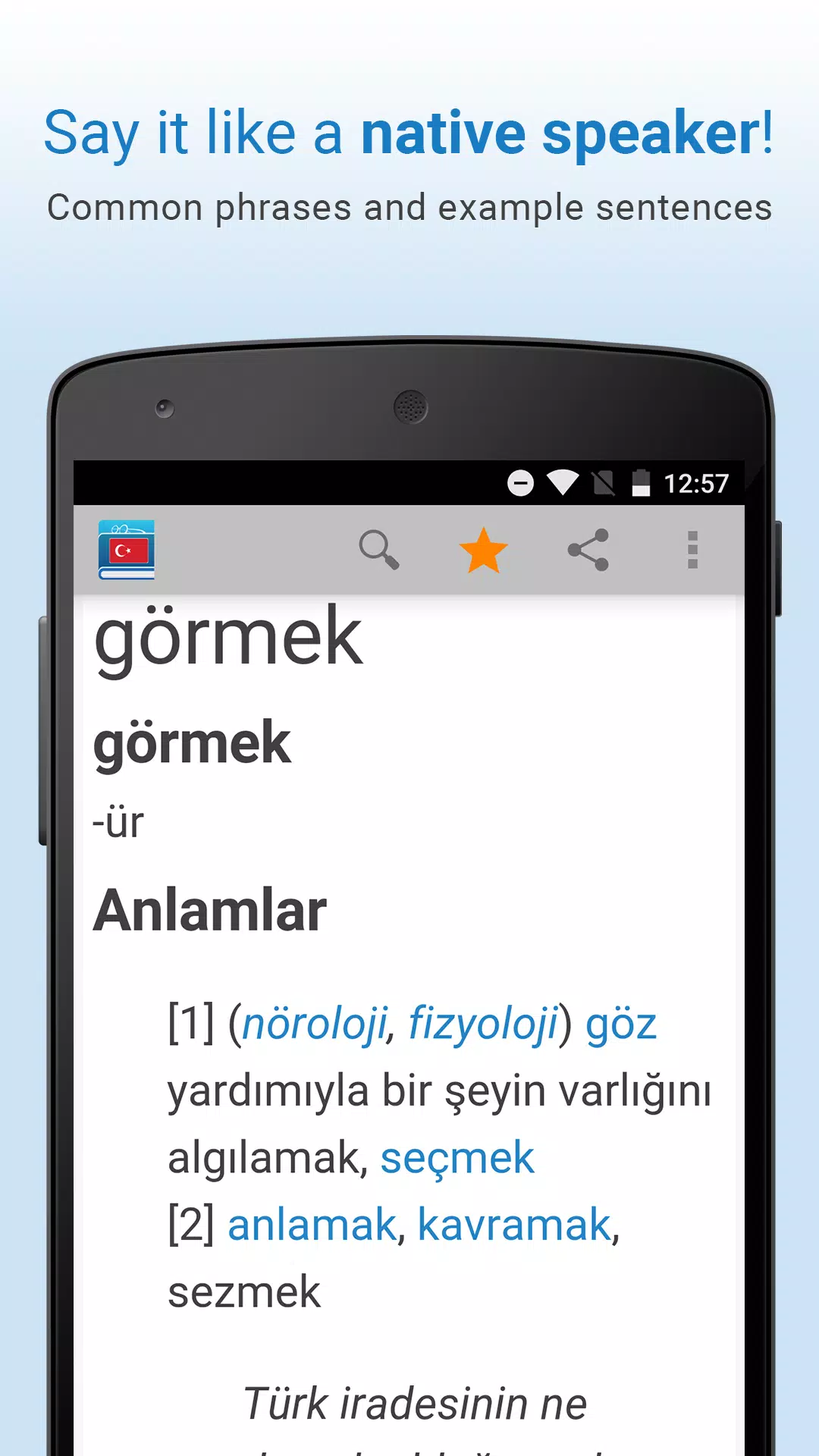 Turkish Dictionary & Thesaurus Screenshot3