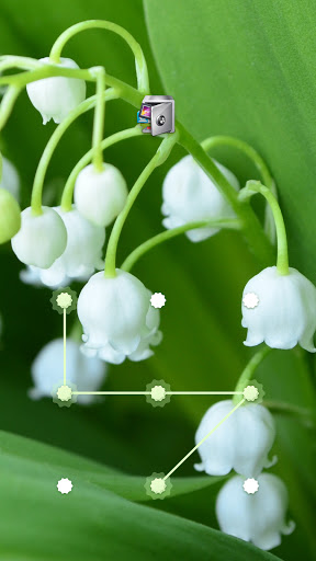 AppLock Lily of the Valley Screenshot1