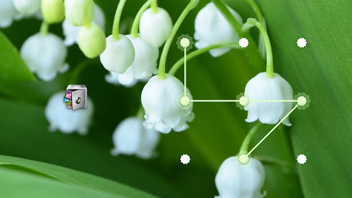 AppLock Lily of the Valley Screenshot4