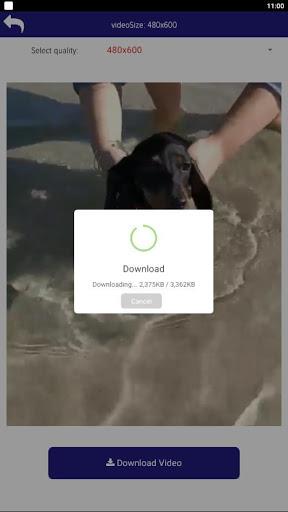 Download Video for Pinterest Screenshot4