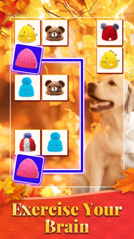 Onet 3D - Puzzle Matching game Screenshot1