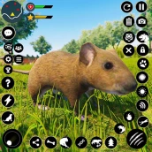 Keluarga Tikus Liar Sim APK