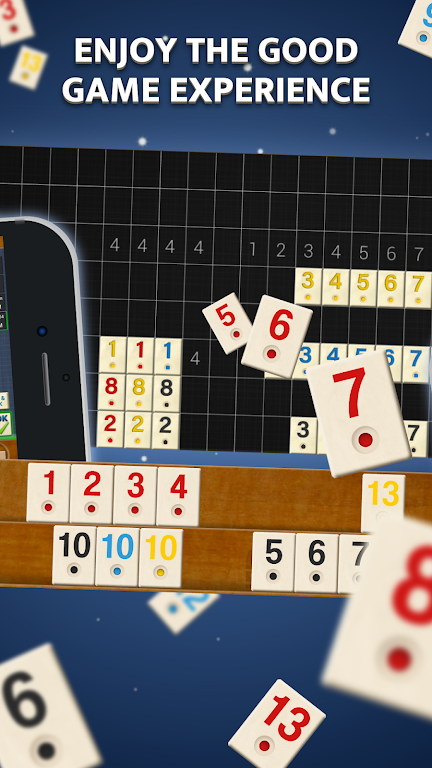 Rummy - Offline Board Game Screenshot2