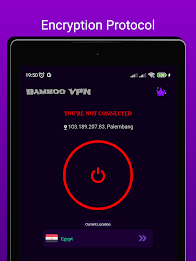 Bamboo VPN Screenshot13