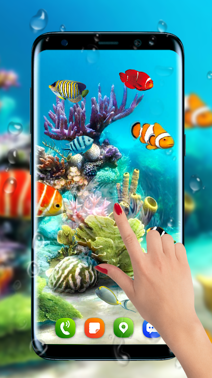 Aquarium fish live wallpapers Screenshot3