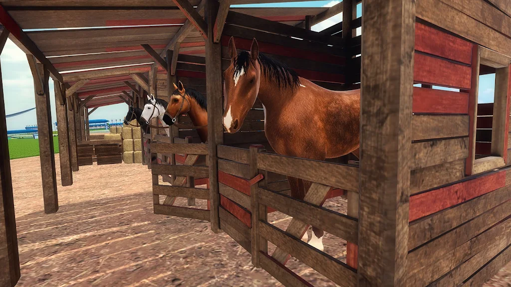 Horse Riding Game 3D Screenshot2