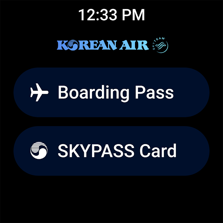 Korean Air My Screenshot9