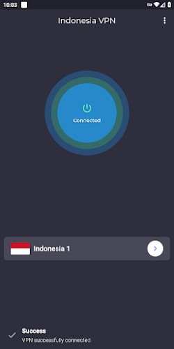 Indonesia VPN - Get Jakarta IP Screenshot2