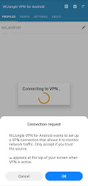 WiJungle SSL VPN Screenshot2