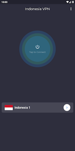 Indonesia VPN - Get Jakarta IP Screenshot3