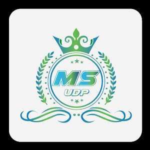 DUP MS Fast Vpn - MAX APK