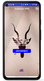 Antelope VPN Screenshot3