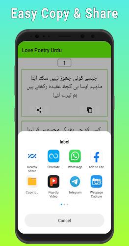 Love Poetry Urdu Screenshot3