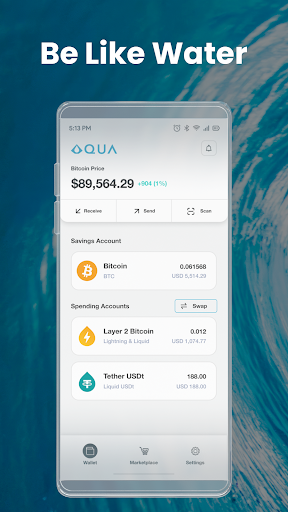 AQUA Wallet Screenshot2