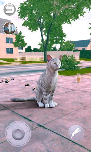 Talking Tabby Cat Screenshot5