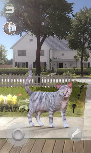 Talking Tabby Cat Screenshot6