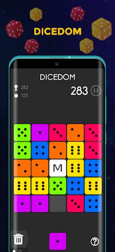 Dice Puzzle - Puzzle Game Screenshot2