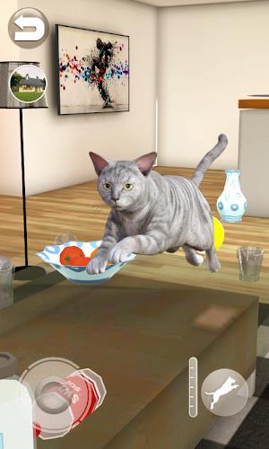 Talking Tabby Cat Screenshot3