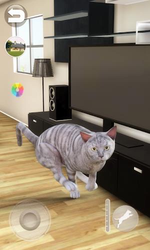 Talking Tabby Cat APK Download Android Game - 51wma