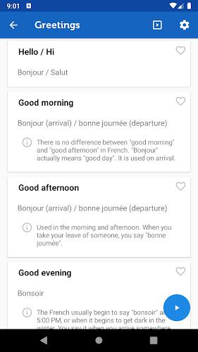 Learn French Phrasebook Pro Screenshot2