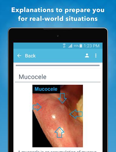 Dental Clinical Mastery Screenshot5