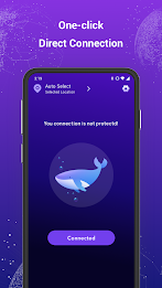 Dolphin VPN-Fast & Stable Screenshot2