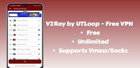 V2Ray by UTLoop: Vmess VPN Screenshot6