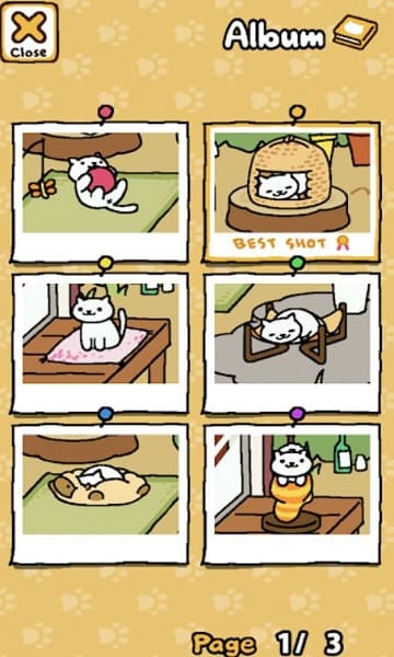 Neko Atsume: Kitty Collector Screenshot4