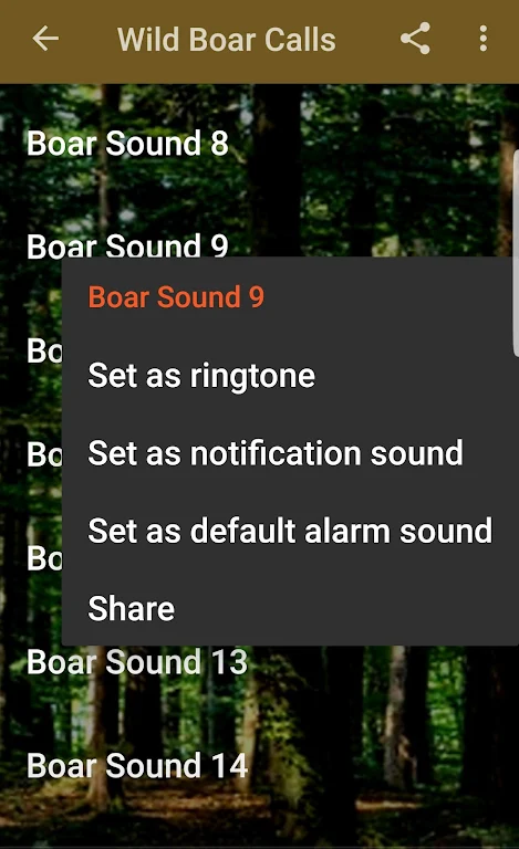 Wild Boar Hunting Calls Screenshot3