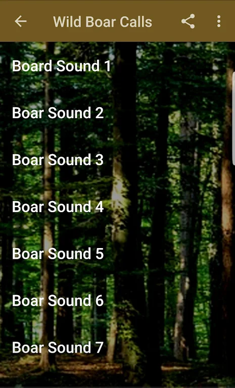 Wild Boar Hunting Calls Screenshot1